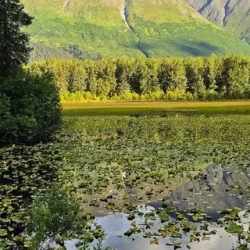 День 2. Анкоридж