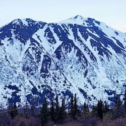 День 8. Фэрбанкс Денали Анкоридж