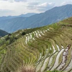 День 5. Дажай. Рисовые террасы.