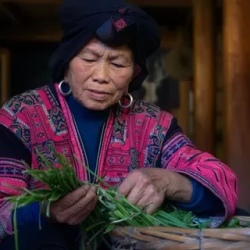 День 5. Река Ли (Li River) — селение Дажай (Dazhai)