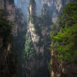 День 9. Чжандзяцзе (Zhangjiajie)