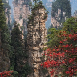 День 9. Чжандзяцзе (Zhangjiajie)