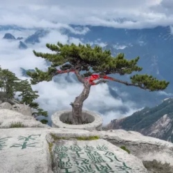 День 6. Хуашань (Mount Huashan)