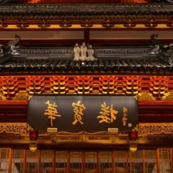 День 8. Шанхай (Shanghai)
