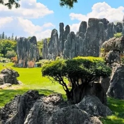 День 2. Каменный лес и культура народов Юньнаня
