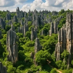День 2. Каменный лес и культура народов Юньнаня