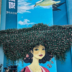 День 11. В ритме солнца и приливов