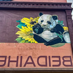 День 8. В ритме солнца и приливов