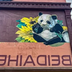 День 8. В ритме солнца и приливов