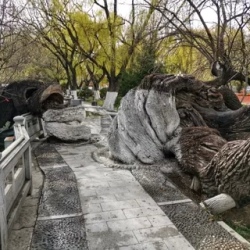 День 3. Прилет в Лхасу. Балгхор кора. Знакомство с городом