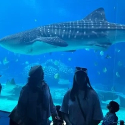 День 6. Парк Chimelong Ocean Kingdom и вечерний Чжухай