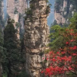 День 10. Чжандзяцзе (Zhangjiajie)