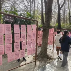 День 1. Прилёт в Чэнду и первое знакомство с городом