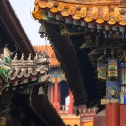 День 1. Пекин (Beijing)