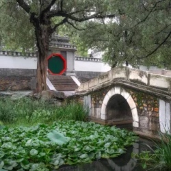 День 8. Шанхай (Shanghai)
