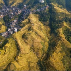 День 7. Деревни Дажай (Dazhai), Пинъань (Pingan)