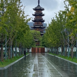 День 7. Шанхай