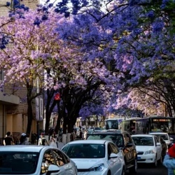 День 4. Каменный лес и переезд в Дали