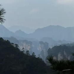 День 5. Тайны короля-дракона — утёсы Tianzi Mountain