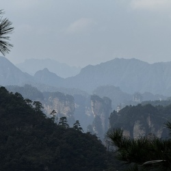 День 5. Тайны короля-дракона — утёсы Tianzi Mountain