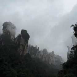 День 5. Тайны короля-дракона — утёсы Tianzi Mountain