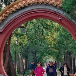 День 1. Прибытие в Пекин и знакомство с городом