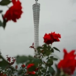 День 1. Прилет в Гуанчжоу