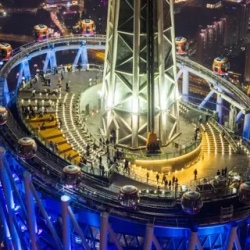 День 3. Сафари и огни мегаполиса