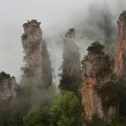 День 7. В мире Аватара
