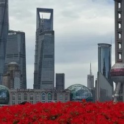 День 7. Седьмой день