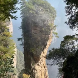 День 5. Горы Аватара — самый фантастический парк Китая