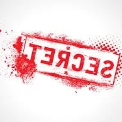 День 7. Секретный день