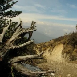 День 6. Kalipokri (3185m) – Sadakphu (3635m) (Trekking 03r