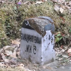 День 8. Phalut (3600m) – Ramam (Trekking 05th day)