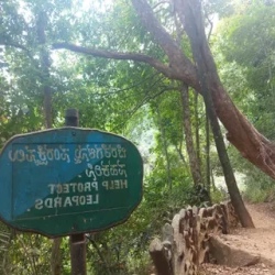День 5. Скалы Яна. 10 декабря