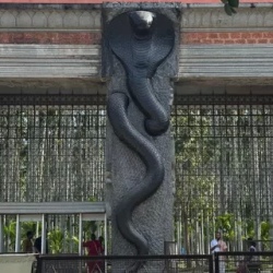 День 5. 5 день