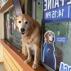День 5. Переезд в Чили