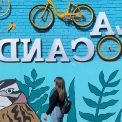 День 1. Прилет в Боготу - город, парящий на высоте 2600 м