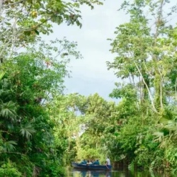 День 5. Развлечения в отеле Amazon Lodge