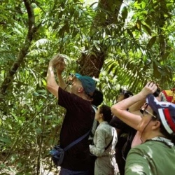 День 5. Развлечения в отеле Amazon Lodge