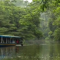 День 6. Посетите отель Amazon Lodge в Янакоче