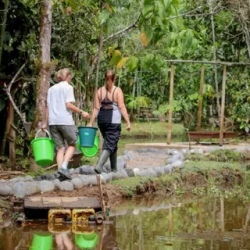День 6. Посетите отель Amazon Lodge в Янакоче