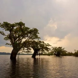 День 10. Sighting Tower & Paddling
