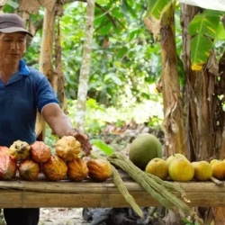 День 3. Immersive Amazon Experience: Culture, Nature, and