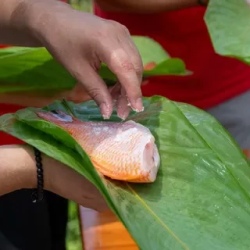 День 3. Immersive Amazon Experience: Culture, Nature, and