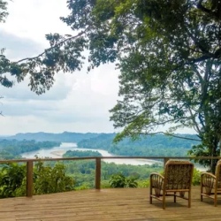 День 4. Farewell to the Amazon Rainforest