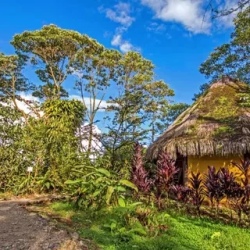 День 6. Из Отавало в Папаллакту Amazon Lodge