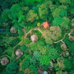 День 8. Частный трансфер из Amazon Lodge в Баос