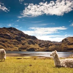 День 10. Cajas National Park and Chocolate Delights: From
