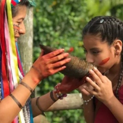 День 13. Unveiling Ecuadors Treasures: Culture, Wetlands,